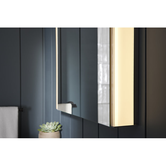 Kohler Maxstow Surface Mount Frameless Medicine Cabinet with LED ...